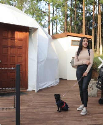 Perrita en terraza de domo de glamping